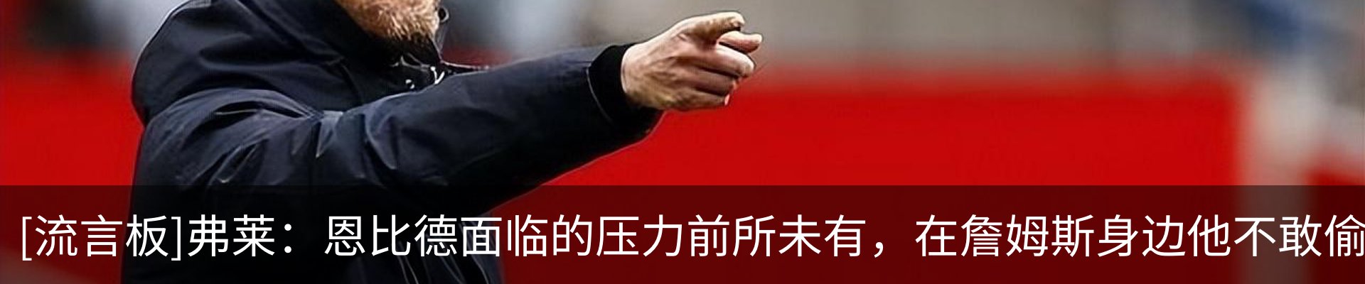 最新动态